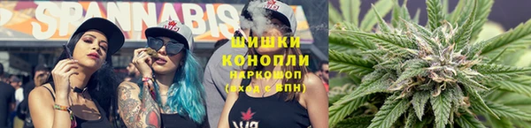 СК Покровск