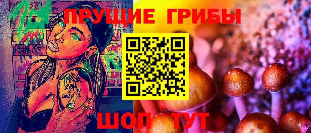 Галлюциногенные грибы Psilocybe  Вход с VPN  Свободный 
